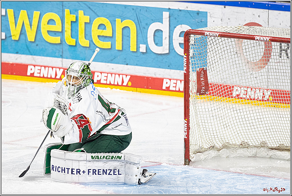 PENNY DEL;  Kölner Haie - Augsburger Panther; Köln, 20.12.2022